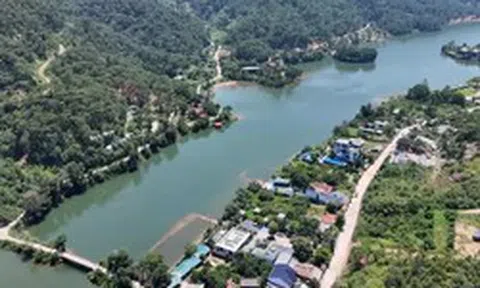 Hà Nội xin ý kiến điều chỉnh diện tích hơn 7.000ha khỏi quy hoạch rừng, đất lâm nghiệp