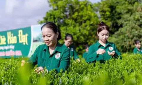 Mô hình 'Hợp tác xã xã hội chủ nghĩa' ở Thái Nguyên có gì đặc biệt?