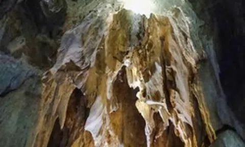 Phát hiện hang động nhiều tầng trong rừng nguyên sinh ở Nghệ An