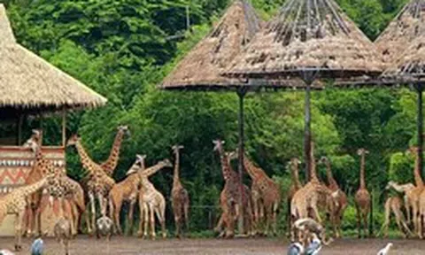 Sở Tài chính Hà Nội nói về dự án Safari Ba Vì