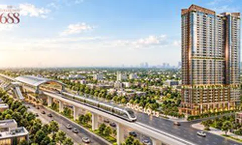 Nghệ thuật của sự “vừa đủ” trong một sản phẩm thiết thực tại Đông Bắc TP.HCM