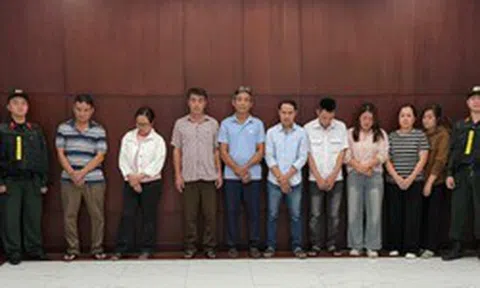 TPHCM: Khởi tố đường dây đưa hơn 10.000 tấn heo sử dụng chất cấm ra thị trường