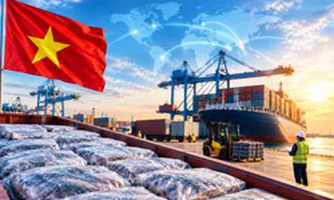 Tin vui cực lớn đến từ Brazil, Nhật Bản, Ả Rập Xê Út, mở ra “cơ hội vàng” cho Việt Nam
