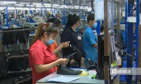 1,6 triệu thanh niên Việt Nam rơi vào nhóm "3 không" trong quý III/2026
