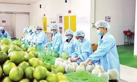 Nông sản 'chạy nước rút' hướng đến mốc 18 tỷ USD cuối năm