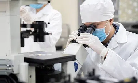 9 nhà khoa học Việt Nam lọt Top 10.000 người có ảnh hưởng nhất thế giới, một cái tên đặc biệt gây chú ý