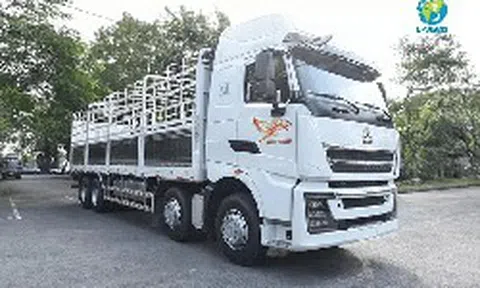 Khoản phải trả 7.100 tỷ đồng cho đối tác Trung Quốc và cách 'đại gia' bán xe tải 'Hổ vồ' thu tiền trước, trả tiền sau