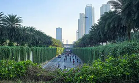Hà Nội định hướng mỗi tuyến phố trồng một loài cây đặc trưng