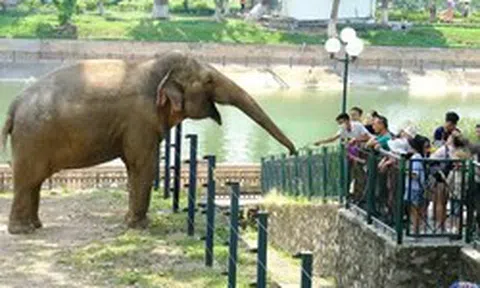 Quy hoạch một phần Công viên Thủ Lệ sang mô hình ‘trải nghiệm sinh cảnh hoang dã tự nhiên’