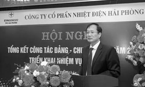 Chủ tịch qua đời, Tổng giám đốc bị bắt, doanh nghiệp điện có tài sản hơn 7.500 tỷ đồng triệu tập ĐHĐCĐ bất thường