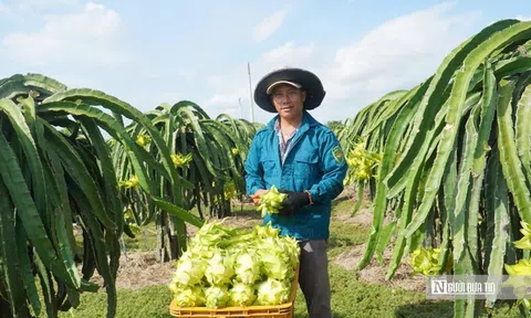 Gắn kết thương mại với du lịch biển ở Lâm Đồng, mở lối ra cho đặc sản địa phương