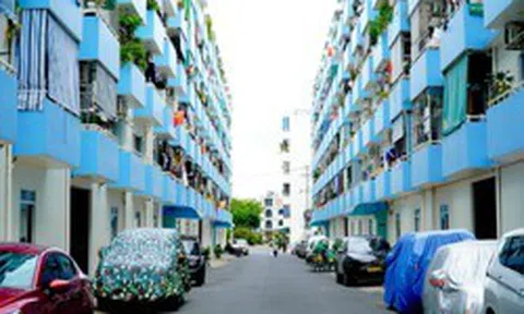 Một phường được TP.HCM 'thưởng nóng' công trình 200 tỷ đồng