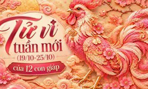 Tử vi tuần mới (19/10-25/10): Top 4 con giáp được Thần Tài ưu ái nhất, công việc bứt phá, tình duyên ngọt ngào