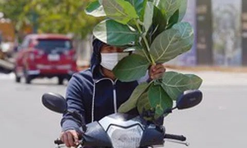 TP.HCM có thể tăng 110 ngày nắng nóng, quy hoạch đô thị cần tính trước rủi ro