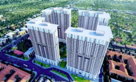 Bất động sản Giang Nam được chuyển mục đích sử dụng hơn 3,3ha đất để làm dự án