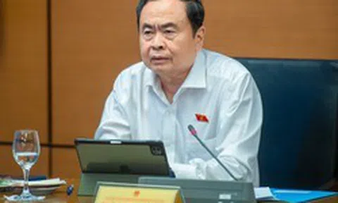 'Cần chế tài mạnh ngăn bỏ cọc, thông đồng, dìm giá khi đấu giá tài sản'