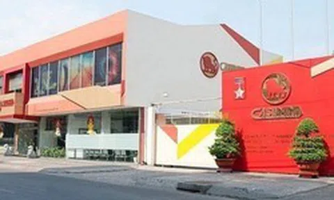 Một công ty cao su lỗ nặng nhất trong 61 quý, doanh thu tăng nhưng chi phí bán hàng gấp đôi, lãi vay tăng hơn 80%