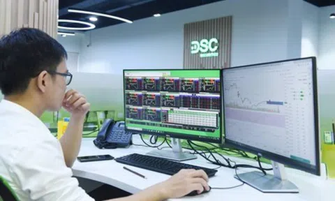 Lợi nhuận DSC giảm sâu, chịu áp lực từ tự doanh và chi phí vốn