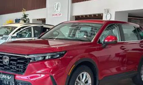 Những mẫu xe hybrid ăn khách nhất tại Việt Nam
