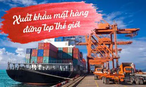 'Cây vàng cây bạc' mọc khắp Việt Nam được Nga tích cực thu mua: Trung Quốc tìm cách 'hồi sinh', nước ta nằm top thế giới