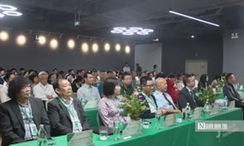 Lạm dụng AI có thể làm suy giảm tư duy độc lập của sinh viên