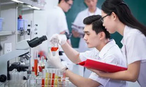 Đề xuất nhân tài được lựa chọn cộng sự, quyết định mức lương thưởng
