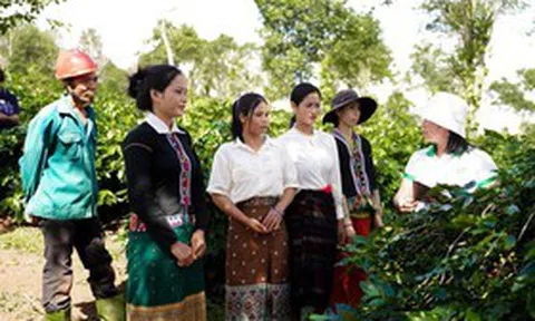 "Bà đỡ" giúp đồng bào vùng cao Quảng Trị thoát nghèo
