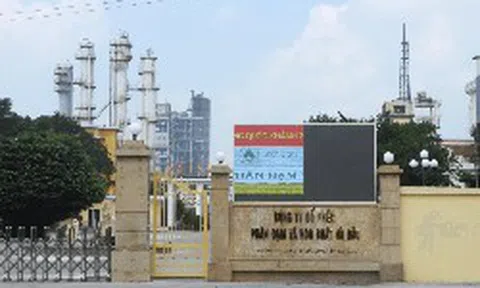 Đạm Hà Bắc (DHB) lãi gần 989 tỷ đồng sau 9 tháng, thu nhập lãnh đạo ra sao?
