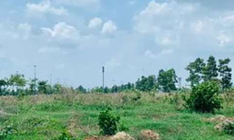 BĐS Thành Ngân bị thu hồi gần 9.300m2 đất do vi phạm nghĩa vụ tài chính