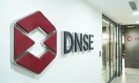 Quỹ ngoại PYN Elite Fund bán ra hơn 1 triệu cổ phiếu DSE