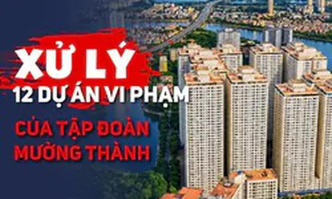 Xử lý 12 dự án vi phạm của Tập đoàn Mường Thành: Chủ đầu tư phải nộp và chi trả những khoản nào?