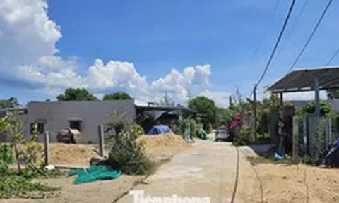 Đắk Lắk lập đoàn kiểm tra vụ xây cả 'khu dân cư' trái phép trên đất rừng trồng