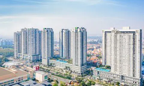 Thêm tổ chức liên quan và người thân Chủ tịch Novaland giao dịch cổ phiếu NVL