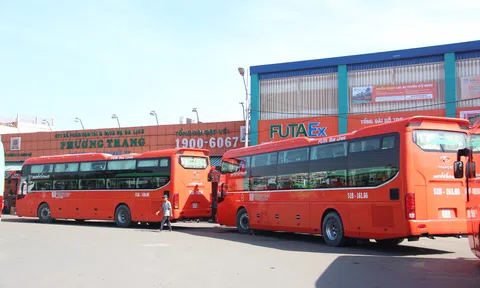Tái xuất với dự án địa ốc nghìn tỷ, tiềm lực của Phương Trang Group ra sao?