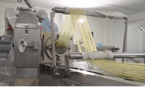 Đạm dế trong mì gói dinh dưỡng: Tầm nhìn mới của thương hiệu Rec Rec trong về tương lai thực phẩm tiện lợi chuẩn sức khỏe