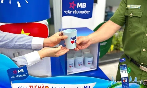 “Cây Yêu Nước” phủ xanh hơn 300 chi nhánh MB: Gieo tự hào chảy khắp non sông
