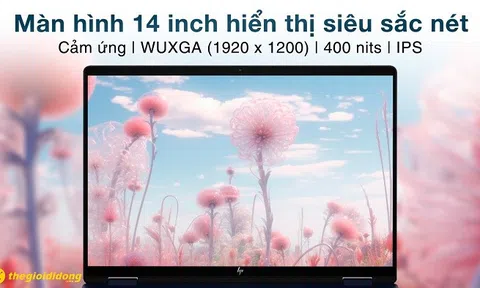 Laptop cho sinh viên: Chọn sao để học tốt mà không mua quá tay?