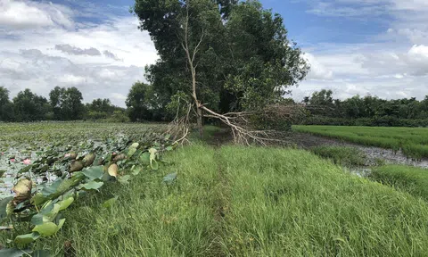 Công ty Kim Oanh Đồng Nai “suýt” mất dự án hơn 500 tỷ vì ký hợp đồng giả cách