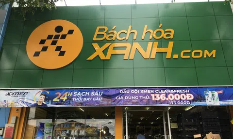 Hệ thống cửa hàng Bách Hóa Xanh đang được “ưu ái”?