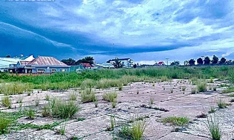 Chủ đầu tư dự án Opal Cityview Bình Dương có huy động vốn trái phép?