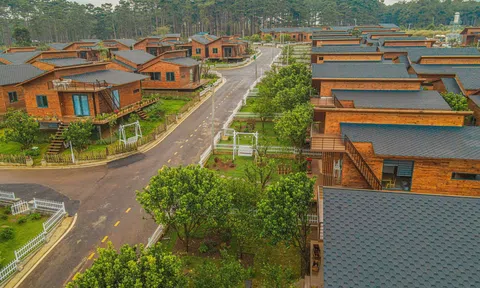 The Tropicana Garden điểm đến “hút” nhà đầu tư và du khách
