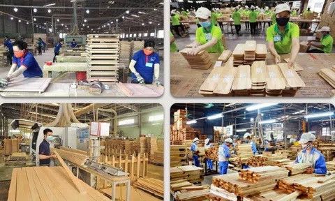 VIFOREST tăng cường năng lực cạnh tranh cho doanh nghiệp thông qua chuyển đổi số trong kỷ nguyên vươn mình