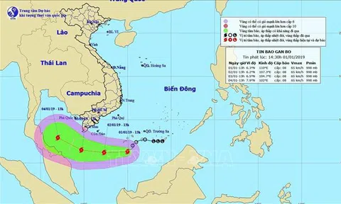 Đầu năm đón bão