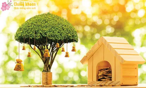 Làm sao để tránh mất tiền trên sàn chứng khoán?
