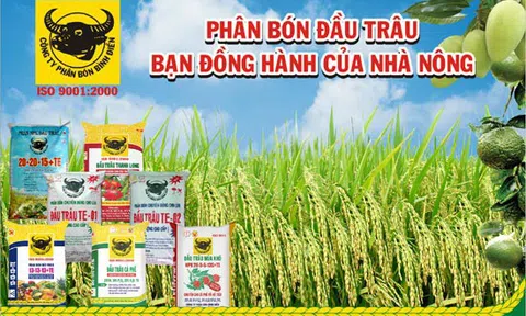Phân bón Bình Điền đặt kế hoạch doanh thu hơn 6.200 tỷ đồng trong 2019