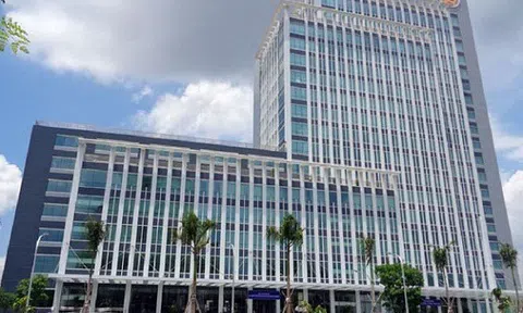 TP. Hồ Chí Minh:  truy thu hơn 670 tỷ đồng tiền thuế trong quý I/2019