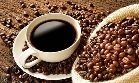 Giá cà phê trong nước liên tục sụt giảm