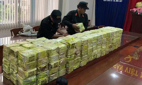 Trong 3 tháng đầu năm 2019 thu giữ hơn 6 tấn ma túy
