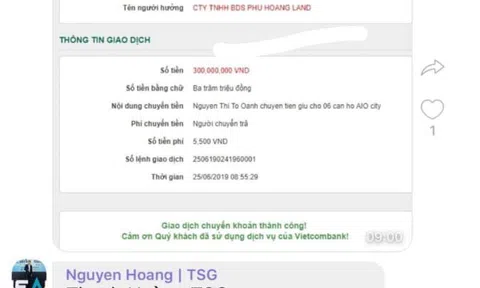 Ai đứng sau Tập đoàn Hoa Lâm chuyển đất y tế thành nhà ở, siêu thị thương mại?