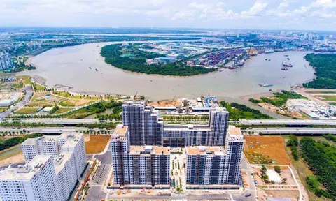 Sai phạm ở New City Thủ Thiêm: Liệu ông Trần Vĩnh Tuyến báo cáo sai thành đúng?